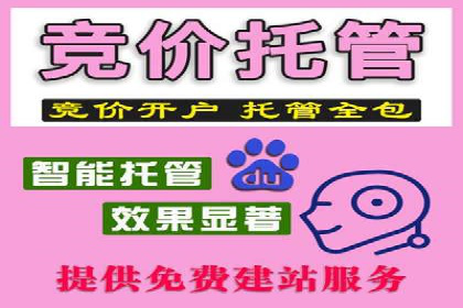 百度竞价推广公司经典案例回顾：网络广告的变革与创新